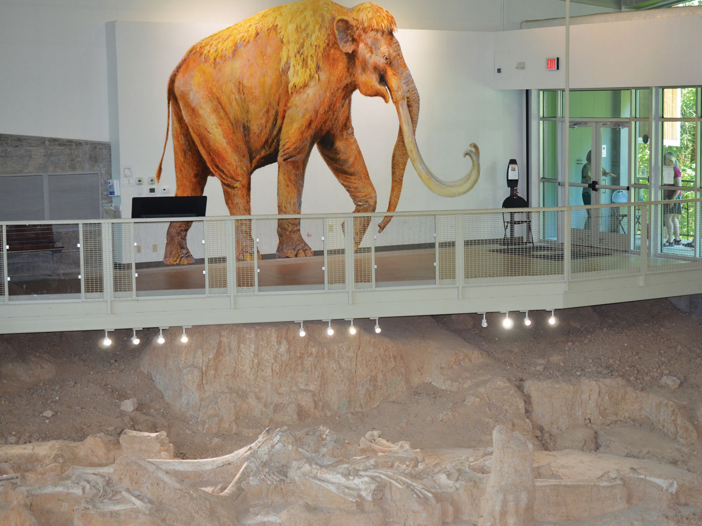 Waco Mammoth National Monument The Institute for Creation Research